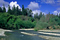 Navarro River at Hendy Woods State Park, near Philo, Mendocino County, California