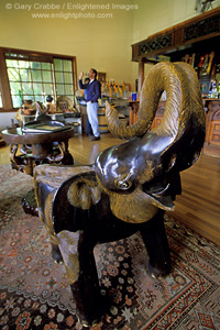 Antique wooden carving of African elephant, Handley Cellars, near Navarro, Mendocino County, California