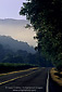 Vineyards, fog, and road in the McDowell Valley, near Hopland, Mendocino County, California