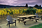 Goldeneye Vineyards, near Philo, Anderson Valley, Mendocino County, California