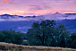 Fog at dawn over hills and oak trees, near Willits, Mendocino County, California