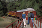 Tourists riding on  The Skunk Train, Willits, Mendocino County, California