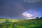 Rainbow and storm clouds in spring over vineyard in the Conn Valley, Napa County, California