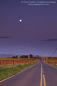 Full moon rising in evening sky over rural road next to vineyards in the Carneros Region, Napa County, California