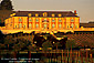 Sunrise Light on the Domaine Carneros Estate Vineyard Winery \Chateau, Napa County Wine Growing Region, California