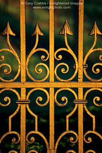 Sunrise light on iron gate at Domaine Carneros Estate Vineyard, Carneros Region, Napa County, California