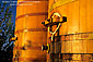 Large wooden Oak Wine storage barrels at sunrise, Bouchaine Estate Vineyards Winery, Carneros Region, Napa County, California