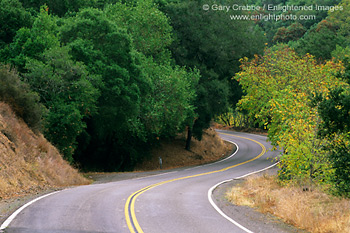 Twisting curve on rural two lane road, Highway 128, Napa County, California