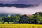 Morning fog over fall vineyard and stone building at Ehlers Estate Winery, near St. Helena, Napa Valley, California