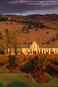 Sunset light on Chimney Rock Winery and vineyard, Staggs Leap area along the Silverado Trail, Napa Valley, California