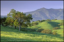 Photo: Green hills in spring at sunset Foxen Canyon Road, near Los Olivos, Santa Barbara County, California