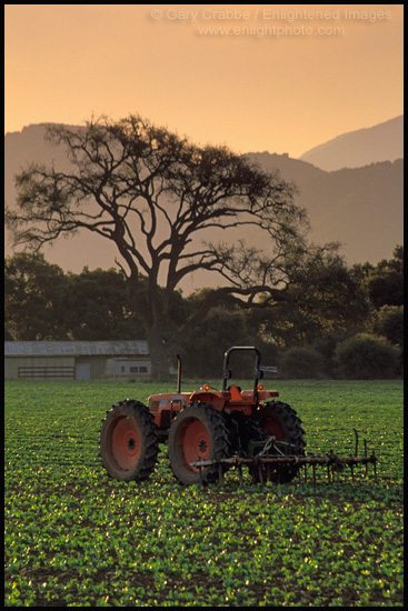 Photo: Tractor in field at sunrise, along Refugio Road, near Santa Ynez, Santa Barbara County, California