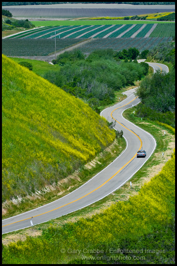 Photo: Country road curves through green hills and agriculture valley in Spring, near Lompoc, Santa Barbara County, California