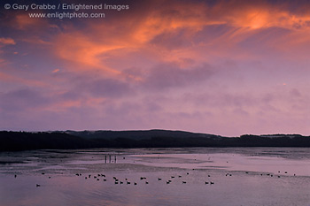 Sunset at Oso Flaco Lake, Guadalupe - Nipomo Dunes San Luis Obispo County, CALIFORNIA