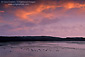 Sunset at Oso Flaco Lake, Guadalupe - Nipomo Dunes San Luis Obispo County, CALIFORNIA