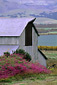 Barn at Tobin Kynsi Winery, Edna Valley, San Luis Obispo County, California