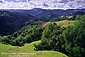 Grass hills and forest in spring above the Russian River Valley, Austin Creek State Rec. Area, Sonoma County, California