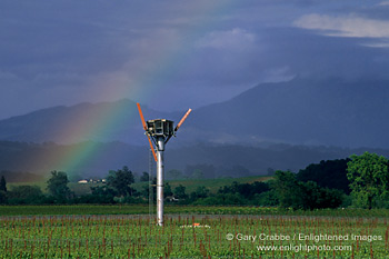 Rainbow over vineyard in the Russian River Wine Valley, Sonoma County, California