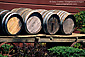 Wood wine barrels on cart at Everett Ridge Winery, Dry Creek Valley, Sonoma County, California