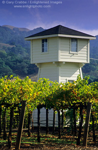 Wooden Water Tower in vineyard, Alexander Valley, Sonoma County, California