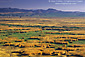 Overlooking the Viansa wetlands, Los Carneros Region, Sonoma County, California