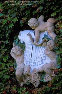 Garden decor in ivy, Viansa Winery, Los Carneros Region, Sonoma County, California