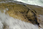 Rushing Water cascade over rock in the Kaweah River, Sequoia National Park, California