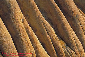 Pattern detail in rocks, Alabama Hills, Eastern Sierra, California