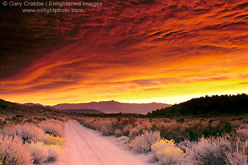 Alpenglow on storm clouds at sunrise over a dirt road in the Eastern Sierra, near Bishop, California