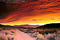 Alpenglow on storm clouds at sunrise over a dirt road in the Eastern Sierra, near Bishop, California