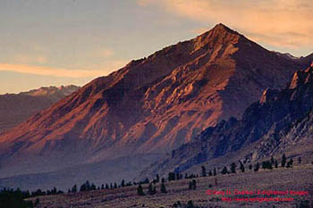 Morning light on Mount Tom, Eastern Sierra, California