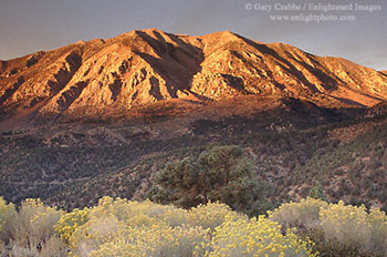 Sunrise light on Wheeler Crest, Eastern Sierra, California