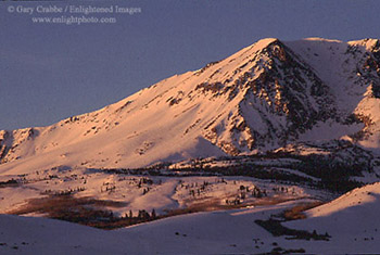 Winter sunrise light on snow covered slopes of the Eastern Sierra, near Lee Vining, California