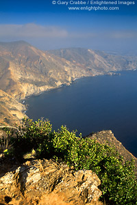 Picture: Rugged coastal cliffs rise above the Pacific Ocean near Catalina Harbor, Catalina Island, California