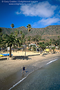 Picture: Boy on beach throwing rocks into water, Two Harbors, Catalina Island, California
