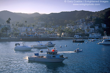 Picture: Afternoon light over the town of Avalon and boats in Avalon Harbor, Catalina Island, California