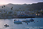 Picture: Afternoon light over the town of Avalon and boats in Avalon Harbor, Catalina Island, California