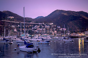 Evening lights over boats in Avalon Harbor, Santa Catalina Island, California