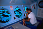 Picture: Tourists watching fish from tour submarine window, Avalon, Catalina Island, California