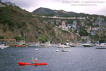 Picture: Sea kayaking in Avalon Harbor, Avalon, Catalina Island, California