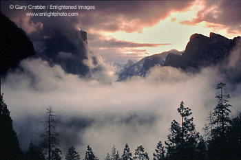 Winter sunrise over fog shrouded Yosemite Valley, Yosemite National Park, California