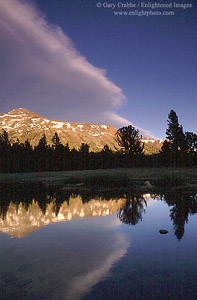 Alpine tarn below Mount Dana at sunset, Tioga Pass, Yosemite National Park, California