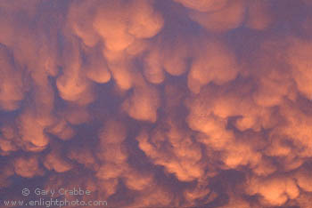 Mammatus clouds at sunset after a summer storm, California