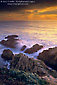 Waves breaking over coastal rocks at sunset, near Bodega Bay, Sonoma Coast, California
