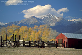 Red Barn and coral in fall below 14,000 foot peak in the Rocky Mountains, near Buena Vista, Colorado