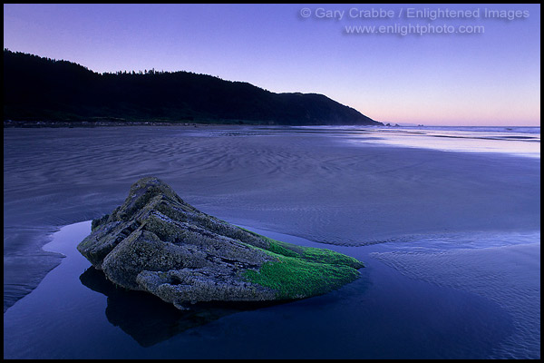 Photo: Rock in tidal zone along Enderts Beach, Crescent City, California