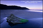 Picture: Rock in tidal zone along Enderts Beach, Crescent City, California