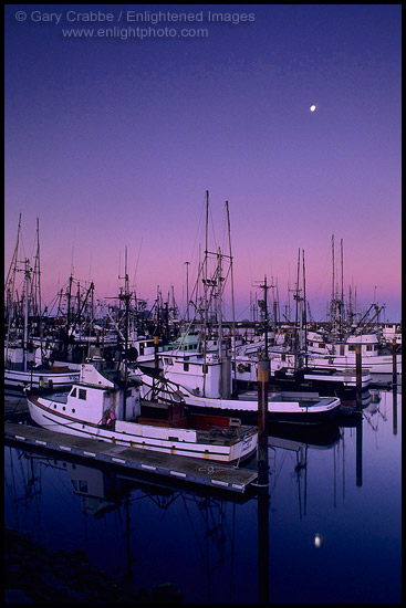 Photo: Moonset at dawn over commercial fishing boats in harbor docks, Crescent City, California