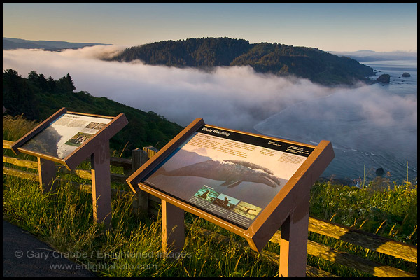 Photo: Educational information signs and coastal fog at sunrise over the mouth of the Klamath River, Redwood National Park, California