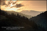 Photo: Sunrise over forest near Garberville, Humboldt County, California